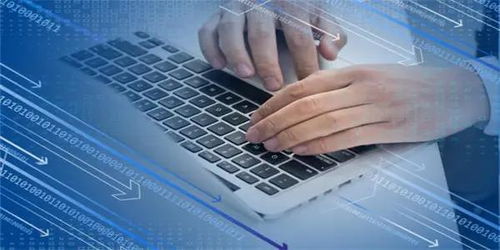 信息技術服務逆勢領漲，新IT持續引領數字化破局